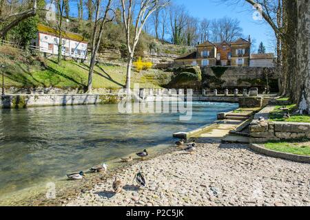 Frankreich, Côte-d'Or, Beze, Promenade de la Source rund um das Wiederaufleben der Beze Fluss Stockfoto