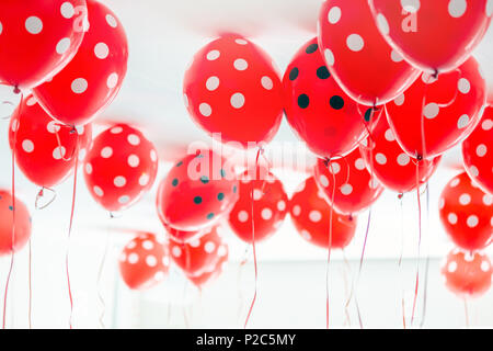 Wunderschöne gepunktete rote Luftballons schwebend an der weißen Decke. Hochzeit oder Kindergeburtstag Dekoration Interieur. Stockfoto