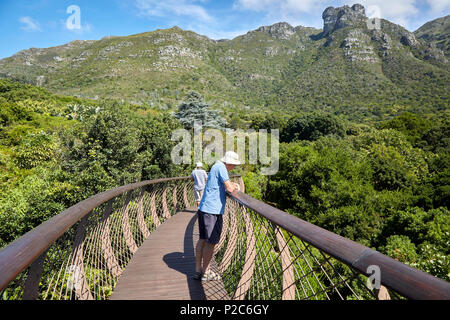 Boomslang Baumkronengang Gehweg in Kirstenbosch Botanischen Garten Stockfoto