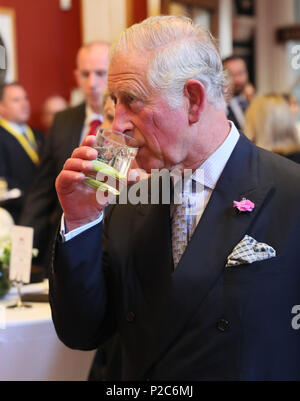 Der Prinz von Wales besucht ein Abendessen bei Crawford Art Gallery als Teil seiner Reise durch die Republik Irland mit der Herzogin von Cornwall. PRESS ASSOCIATION Foto. PRESS ASSOCIATION Foto. Bild Datum: Donnerstag, Juni 14, 2018. Siehe PA Geschichte ROYAL Charles. Photo Credit: Brian Gesetzlosen/PA-Kabel Stockfoto