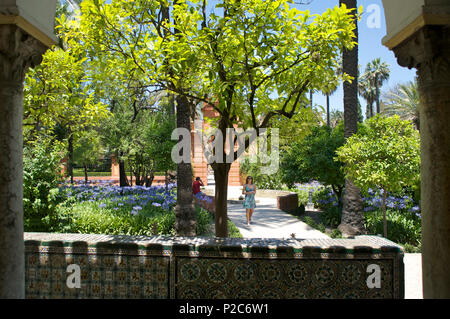 Maurische Garten im Alcazar, Spanische Fliesen, Sevilla, Andalusien, Spanien, Europa Stockfoto