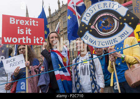 Anti-brexit Demonstranten versammeln sich vor dem britischen Parlament in Westminster, am 12. Juni 2018 in London, England. Stockfoto