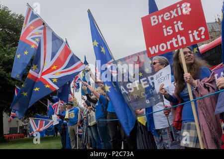 Anti-brexit Demonstranten versammeln sich vor dem britischen Parlament in Westminster, am 12. Juni 2018 in London, England. Stockfoto