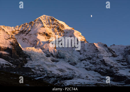 Der Gipfel des Mönch im letzten Licht der Sonne, und der Mond oben, Berner Alpen, Kantone Bern und Wallis, Schweiz Stockfoto
