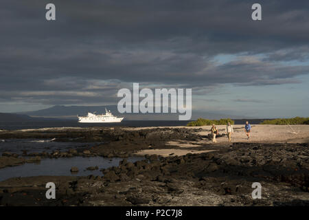 Ein Führer und zwei Touristen wandern über den Sandstrand und schwarzen vulkanischen Felsen von Punta Espinoza auf Fernandina Insel, Galapagos Stockfoto