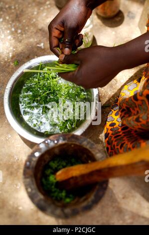 Senegal, Vorbereitung von thiep Bou dien (Reis mit Fisch) in einem peuhl Dorf Stockfoto