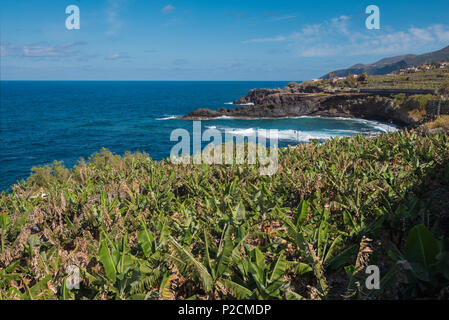 Küste Landschaft auf der Insel La Palma, Kanarische Inseln, Spanien. Stockfoto