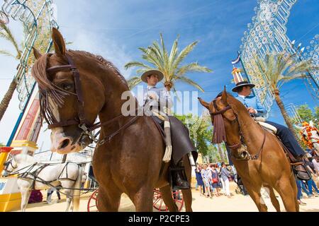 Spanien, Andalusien, Provinz Cadiz, Jerez de la Frontera, die Feria del Caballo (das Pferd Messe) Stockfoto
