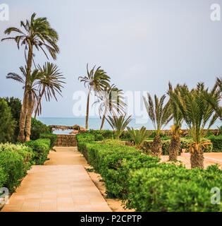 Warum zum Sandstrand auf tropisches Resort mit Palmen Stockfoto