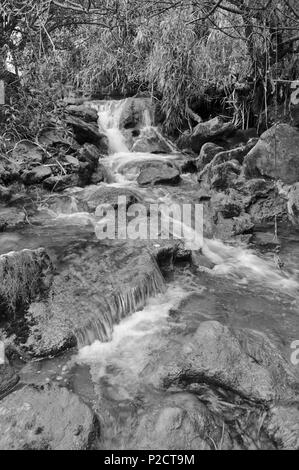 Queda do Vigario Wasserfall in Alte, Loulé. Algarve, Portugal Stockfoto