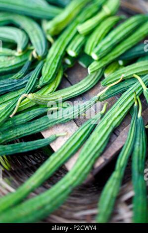 Indien, Kerala State, Kochi, Markt Atmosphäre Stockfoto
