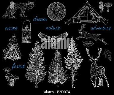 Forest Night Adventure Collection: glamping Zelt, Lagerfeuer, Camping Lampe, Vollmond, Fichte, Tanne, Pilze, Fuchs, Hase, Hirsch. Vintage Gravur stil Vektor-illustration weiß auf schwarz gezeichnet. Stock Vektor
