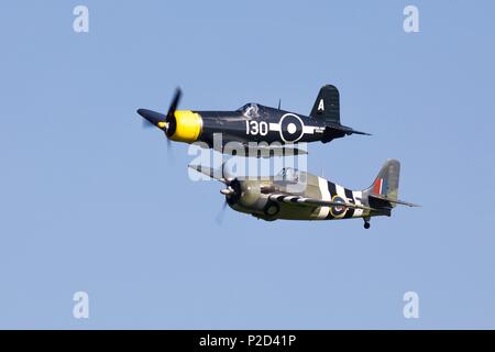 Grumman FM2 Wildcat & Goodyear FG-1D Corsair fliegen zusammen an der Marine Airshow in Old Warden Flugplatz am 3. Juni 2018 Fliegen Stockfoto