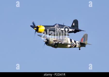 Grumman FM2 Wildcat & Goodyear FG-1D Corsair fliegen zusammen an der Marine Airshow in Old Warden Flugplatz am 3. Juni 2018 Fliegen Stockfoto