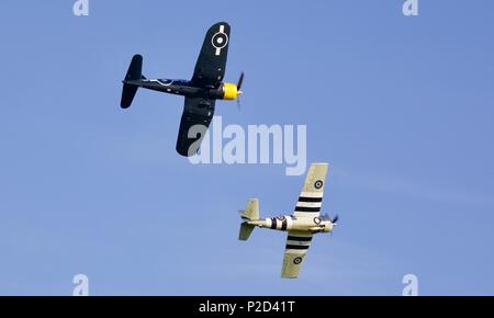 Grumman FM2 Wildcat & Goodyear FG-1D Corsair fliegen zusammen an der Marine Airshow in Old Warden Flugplatz am 3. Juni 2018 Fliegen Stockfoto