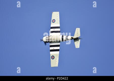 Grumman FM2 Wildcat-amerikanischen Fluggesellschaft-basierte Kampfflugzeuge von United States Navy und der Royal Navy im Zweiten Weltkrieg. Stockfoto