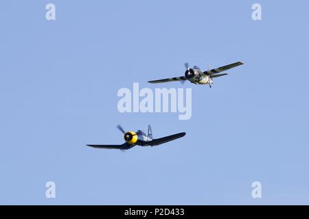 Grumman FM2 Wildcat & Goodyear FG-1D Corsair fliegen zusammen an der Marine Airshow in Old Warden Flugplatz am 3. Juni 2018 Fliegen Stockfoto