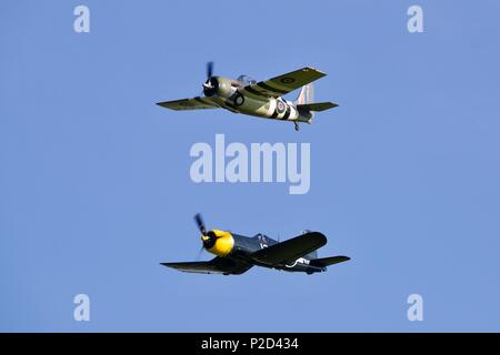 Grumman FM2 Wildcat & Goodyear FG-1D Corsair fliegen zusammen an der Marine Airshow in Old Warden Flugplatz am 3. Juni 2018 Fliegen Stockfoto