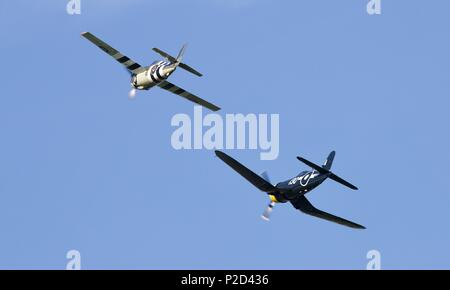 Grumman FM2 Wildcat & Goodyear FG-1D Corsair fliegen zusammen an der Marine Airshow in Old Warden Flugplatz am 3. Juni 2018 Fliegen Stockfoto