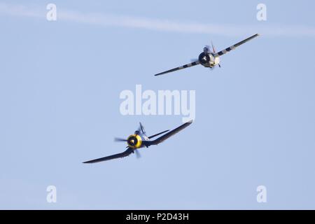 Grumman FM2 Wildcat & Goodyear FG-1D Corsair fliegen zusammen an der Marine Airshow in Old Warden Flugplatz am 3. Juni 2018 Fliegen Stockfoto