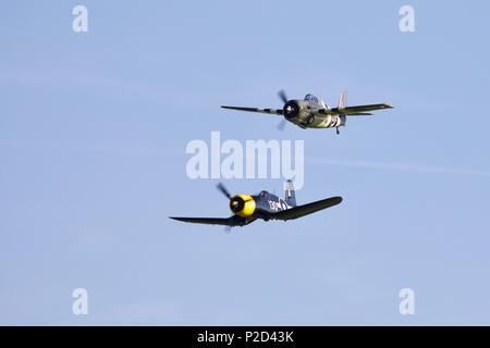 Grumman FM2 Wildcat & Goodyear FG-1D Corsair fliegen zusammen an der Marine Airshow in Old Warden Flugplatz am 3. Juni 2018 Fliegen Stockfoto