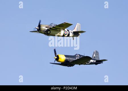 Grumman FM2 Wildcat & Goodyear FG-1D Corsair fliegen zusammen an der Marine Airshow in Old Warden Flugplatz am 3. Juni 2018 Fliegen Stockfoto