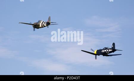 Grumman FM2 Wildcat & Goodyear FG-1D Corsair fliegen zusammen an der Marine Airshow in Old Warden Flugplatz am 3. Juni 2018 Fliegen Stockfoto