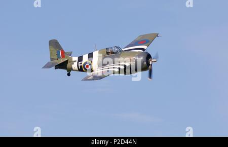 Grumman FM2 Wildcat-amerikanischen Fluggesellschaft-basierte Kampfflugzeuge von United States Navy und der Royal Navy im Zweiten Weltkrieg. Stockfoto