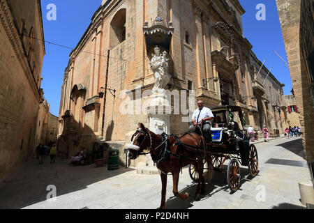Touristische Ausritt mit dem Pferd in die Stille Stadt Mdina, Malta Stockfoto