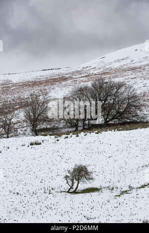 Wenig Mell fiel, Herbst in den Winter, englischen Lake District Stockfoto