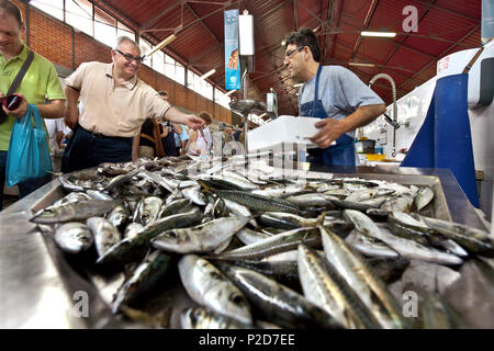 Fisch auf dem Fischmarkt ausgeht, Markthalle, Olhao, Algarve, Portugal Stockfoto