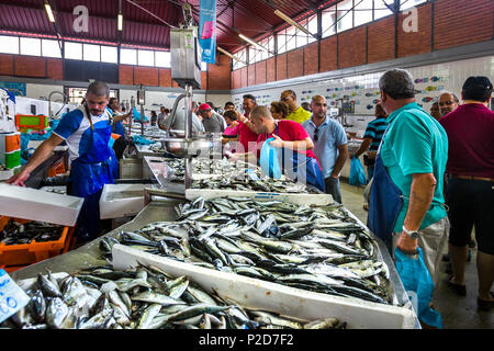 Fisch auf dem Fischmarkt ausgeht, Markthalle, Olhao, Algarve, Portugal Stockfoto