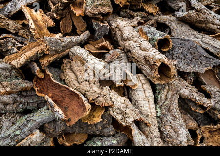 Cork von einem Baum, Alentejo, Portugal Stockfoto