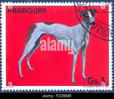 . ???????:????????? . 11. Januar 1984. Stempel der Paraguai 23 Grayhound-Canis-Lupus-familiaris Stockfoto