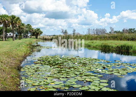 Fort Ft. Pierce Florida, Savannen Erholungsgebiet, Erhaltung, al Schutz, County Park, Küsten Süßwasser Sümpfe, Übernachtung Camping, Campingplatz, Kanal, Wate Stockfoto