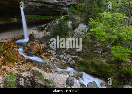 Wasserfall Slap Pericnik fällt, Cascade, Vrata Tal, Zgornji, Gorenjska, Triglav Nationalpark, die Julischen Alpen, Slowenien, Europa Stockfoto