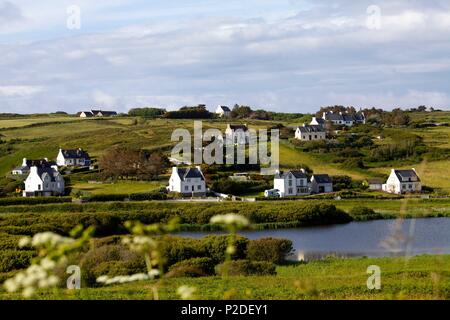 Frankreich, Finistere, Iroise, Cap Sizun, Plogoff Stockfoto