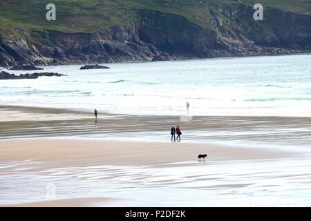 Frankreich, Finistere, Iroise, Cap Sizun, Plogoff, Pointe du Raz, Baie des Trepasses Stockfoto