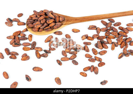 Kakaobohnen Löffel aus Holz und auf weißem Hintergrund. Stockfoto