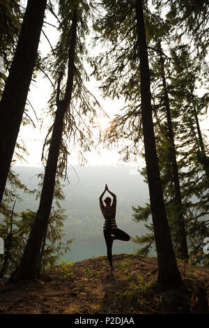 Passende Frau Durchführung stretching Übung in einem üppigen, grünen Wald Stockfoto