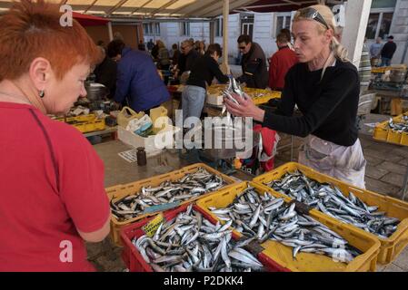 Kroatien, Dalmatien, Dalmatinischen Küste, Split, alte römische Stadt als Weltkulturerbe von der UNESCO, dem Fischmarkt Stockfoto