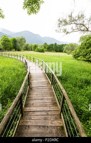 Holzsteg und Schilf, Idrosee, Baitoni, Trentino, Italien Stockfoto