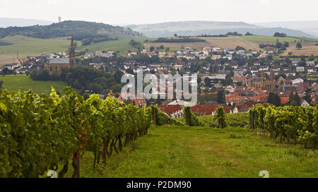 Blick über Weinberge in Waldboeckelheim mit der Evangelischen Kirche und der katholischen Kirche rechts, Landkreis Bad Kre Stockfoto