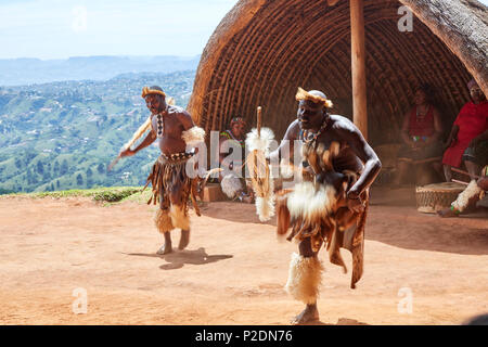 Zulu Tänzerinnen am PheZulu kulturelles Dorf in KwaZulu-Natal Stockfoto