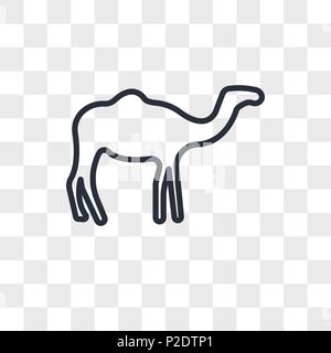 Dromedar vektor Icon auf transparentem Hintergrund isoliert, Dromedar logo Konzept Stock Vektor