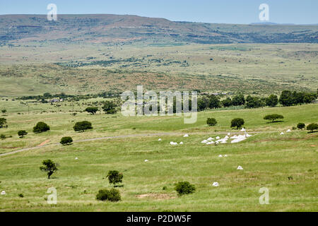 Schlacht von Isandlwana & Rorke's Drift Stockfoto