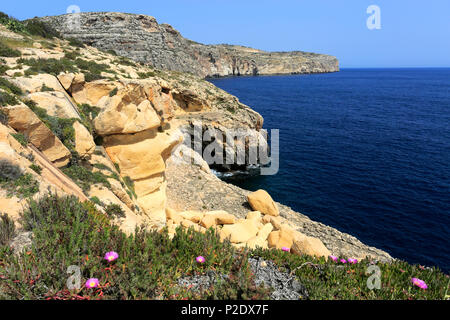 Die Blaue Grotte Grotten in der Nähe der Fischer Hafen von Wied iz-Zurrieq, Süd-Ost-Küste von Malta, Stockfoto