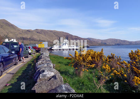 Fähre Warteschlange bei Ardgour ist Teil der Corran Fähre Route nach Nether Lochaber Stockfoto