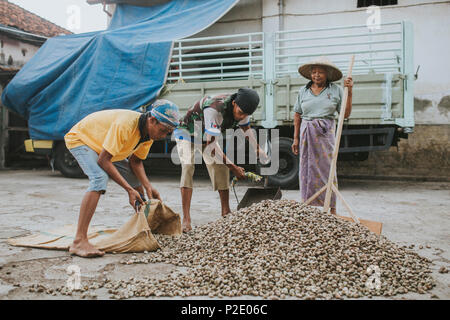 MATARAM, Indonesien - 21. AUGUST 2017: Leute an einem Cashew-nuss Lager arbeiten. Stockfoto