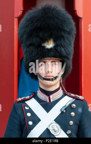 Dänemark, Seeland, Kopenhagen, Amalienborg Slotsplads, im 18. Jahrhundert zum Schloss Amalienborg ist der Winter Residenz der dänischen Königsfamilie, Guard Stockfoto